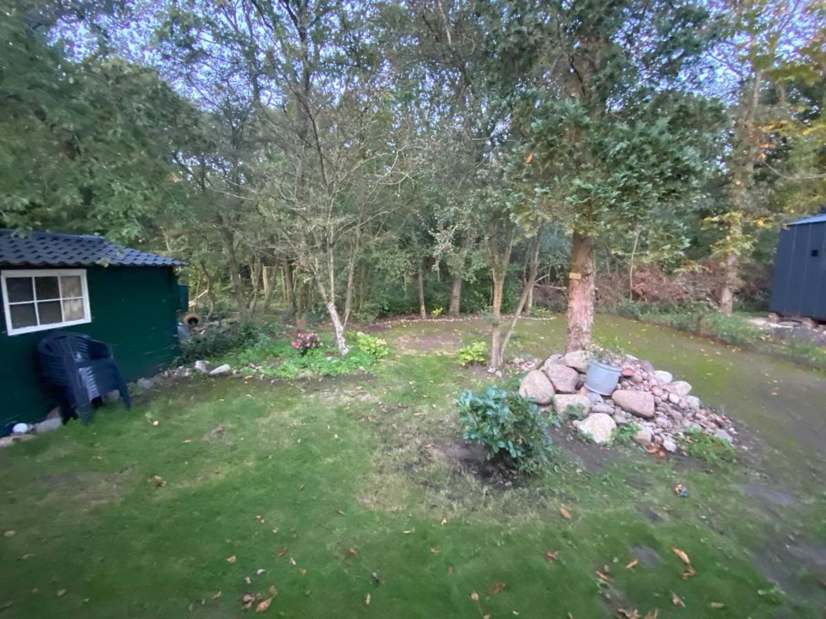 Chalet With Access To The Woods - No 147 Anloo Eksteriør bilde